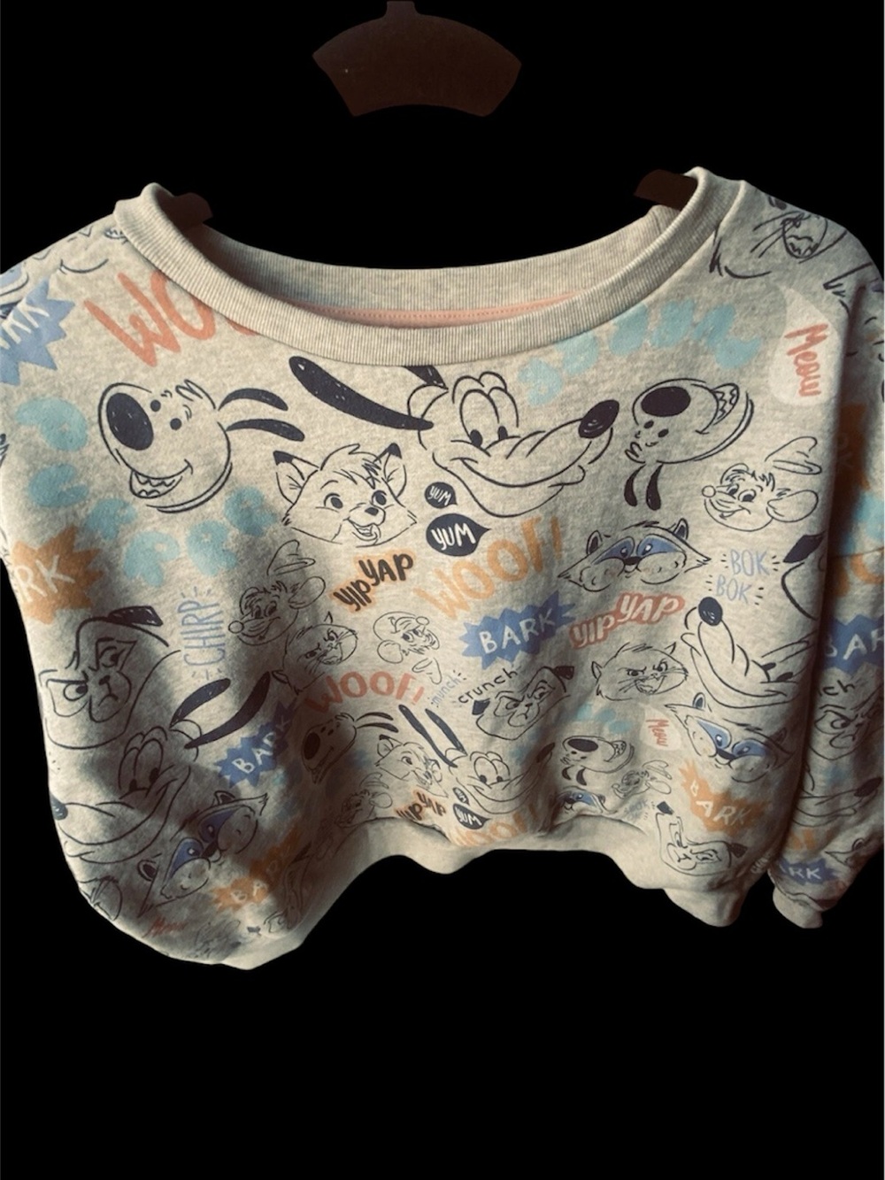 Disney Critters Jogger Top & Pants With Pockets Sweatpants 1X Wide Leg Crop Top